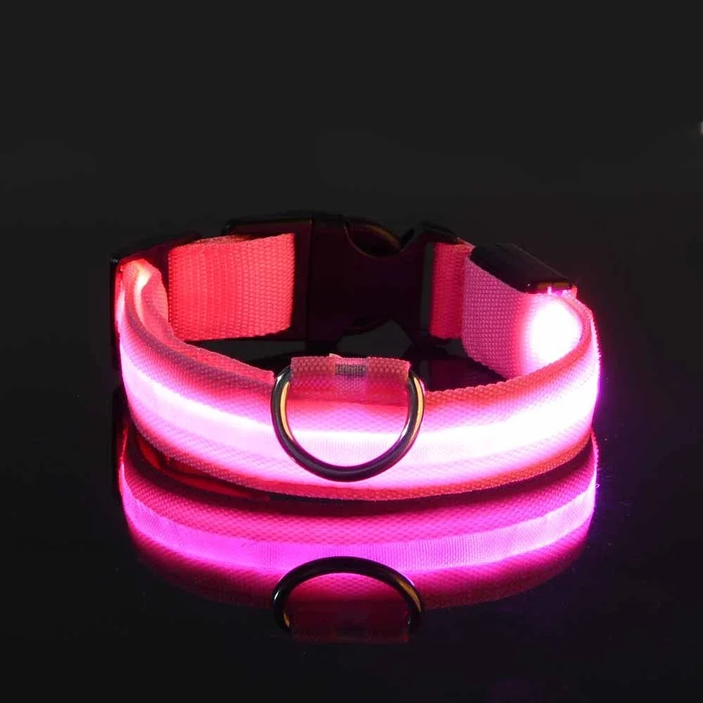 "LED Nylon Dog Collar & Leash – Glow in the Dark for Nighttime Safety!" - Image 5